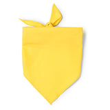 0852 TESEA - Bandana personalizzato con logo - Pubblienne