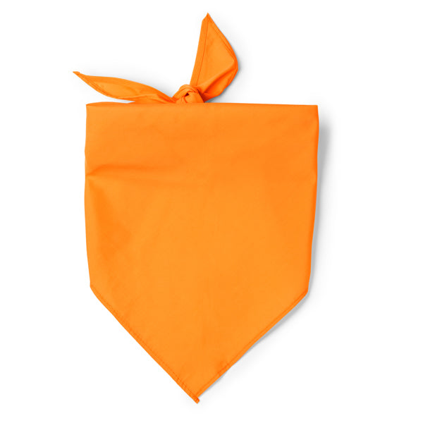 0852 TESEA - Bandana personalizzato con logo - Pubblienne