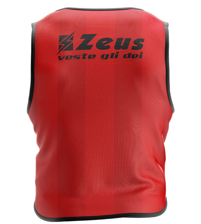https://www.zeusport.it/public//prodotti/1070_24_casacca-promo-rossa-10-pz-RETRO.jpg