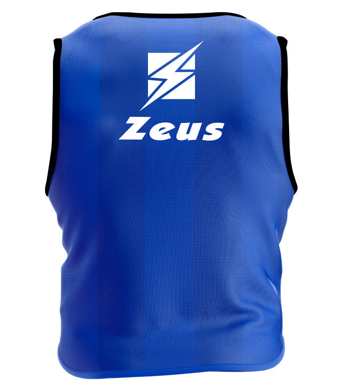https://www.zeusport.it/public//prodotti/1070_3_casacca-promo-royal--nuovo-design10-pz-RETRO.jpg