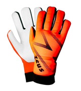https://www.zeusport.it/public//prodotti/1182_95_guanto-space-front-e-back-def-2.jpg