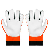 https://www.zeusport.it/public//prodotti/1182_95_guanto-space-front-e-back-def.jpg