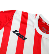 https://www.zeusport.it/public//prodotti/1234_8_SHIRT-ZIP-DETTAGLIO1.jpg