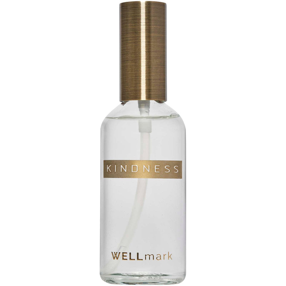 Nebulizzatore per ambienti da 100 ml Wellmark personalizzato con logo - Pubblienne