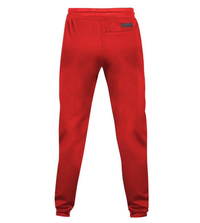 https://www.zeusport.it/public//prodotti/1555_8_pant-zs7-rosso-retro2.0.jpg