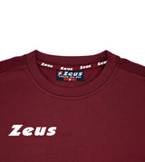 https://www.zeusport.it/public//prodotti/1768_27_FELPA-ROUND-START-GRANATA_03.jpg