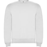 R1070 - Roly Clasica Felpa Uomo personalizzato con logo - Pubblienne