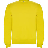 R1070 - Roly Clasica Felpa Uomo personalizzato con logo - Pubblienne