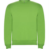 R1070 - Roly Clasica Felpa Uomo personalizzato con logo - Pubblienne