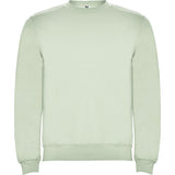R1070 - Roly Clasica Felpa Uomo personalizzato con logo - Pubblienne