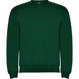R1070 - Roly Clasica Felpa Uomo personalizzato con logo - Pubblienne