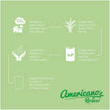 Bicchiere da 300 ml Americano® Switch Renew personalizzato con logo - Pubblienne