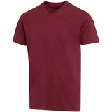T-shirt a maniche corte unisex con scollo a V in cotone biologico certificato OCS da 200 g/m² Balfour personalizzato con logo - Pubblienne