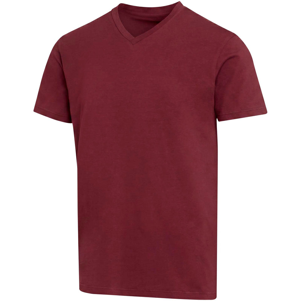 T-shirt a maniche corte unisex con scollo a V in cotone biologico certificato OCS da 200 g/m² Balfour personalizzato con logo - Pubblienne