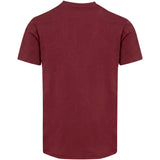 T-shirt a maniche corte unisex con scollo a V in cotone biologico certificato OCS da 200 g/m² Balfour personalizzato con logo - Pubblienne
