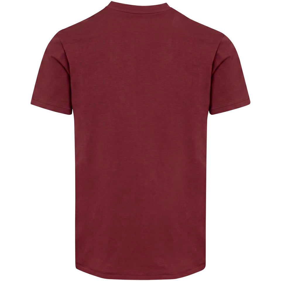 T-shirt a maniche corte unisex con scollo a V in cotone biologico certificato OCS da 200 g/m² Balfour personalizzato con logo - Pubblienne