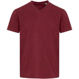 T-shirt a maniche corte unisex con scollo a V in cotone biologico certificato OCS da 200 g/m² Balfour personalizzato con logo - Pubblienne