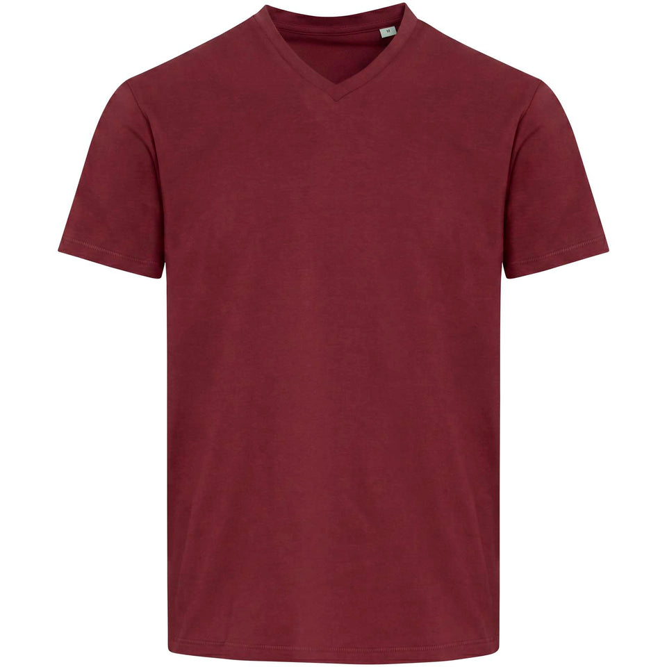 T-shirt a maniche corte unisex con scollo a V in cotone biologico certificato OCS da 200 g/m² Balfour personalizzato con logo - Pubblienne