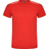 R6652 - Roly Detroit T-Shirt Uomo personalizzato con logo - Pubblienne