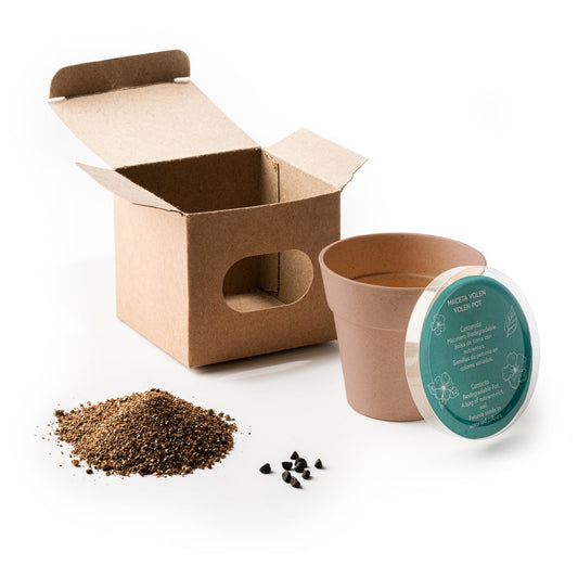 6802 - Vaso Petunia personalizzato con logo - Pubblienne