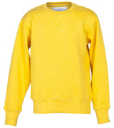 ORLANDO KIDS FELPA BAMBINO GIROCOLLO PAYPER personalizzato con logo - Pubblienne