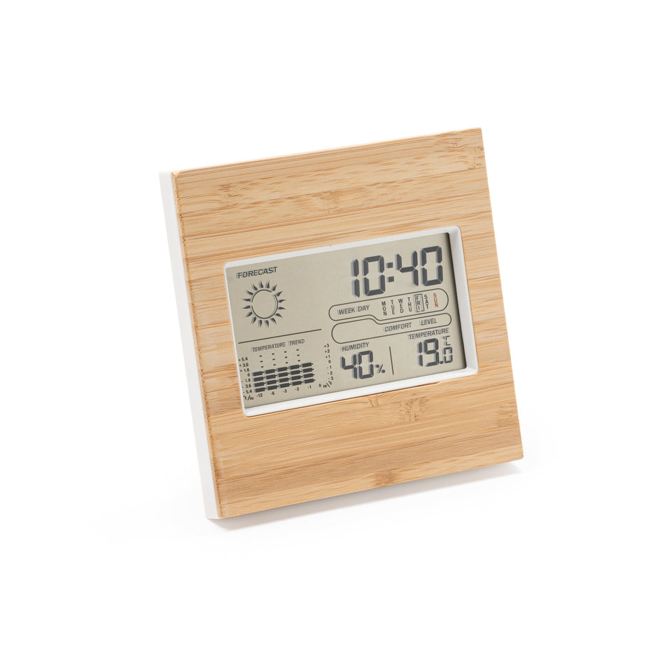 9166 Wake - Stazione Metereologica personalizzato con logo - Pubblienne