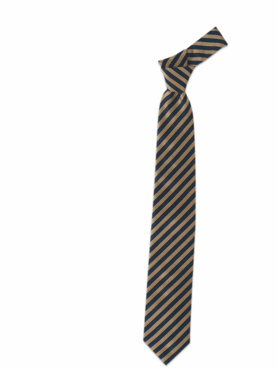 Cravatta Uomo
