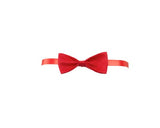 papillon personalizzato con logo - Pubblienne