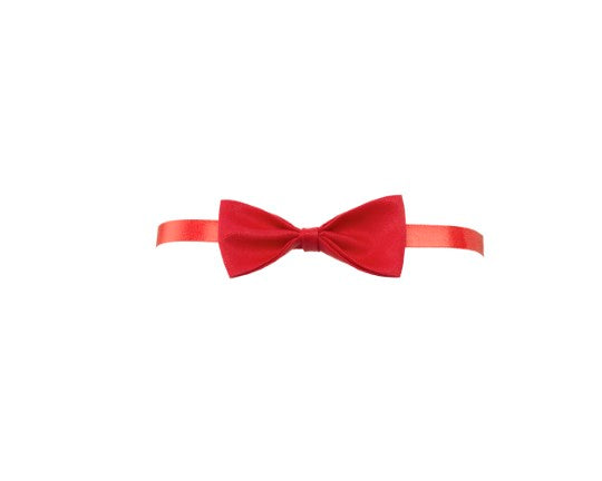 papillon personalizzato con logo - Pubblienne