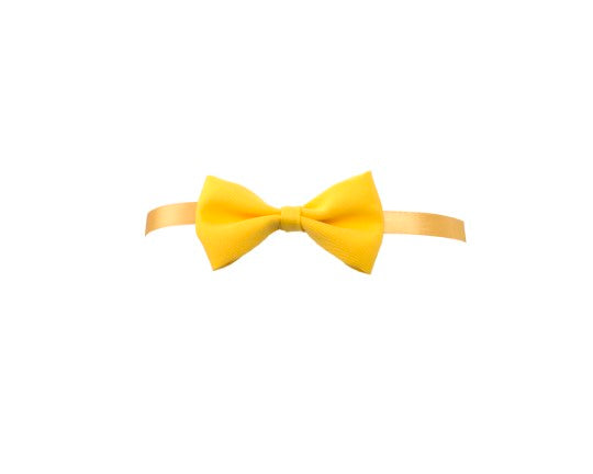 papillon personalizzato con logo - Pubblienne