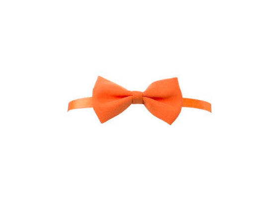 papillon personalizzato con logo - Pubblienne
