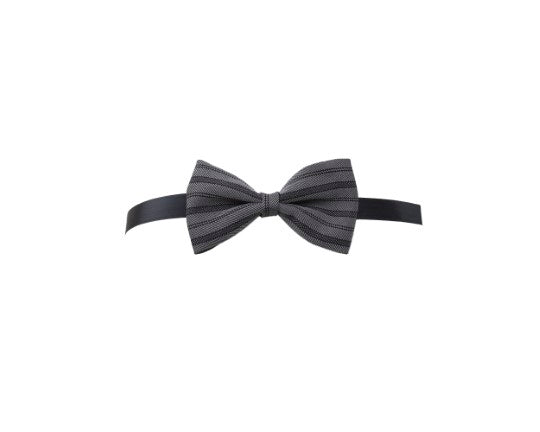 papillon personalizzato con logo - Pubblienne
