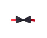 papillon verlaine personalizzato con logo - Pubblienne