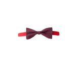 papillon verlaine personalizzato con logo - Pubblienne