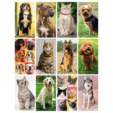 CANI E GATTI personalizzato con logo - Pubblienne