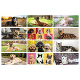 CANI E GATTI personalizzato con logo - Pubblienne
