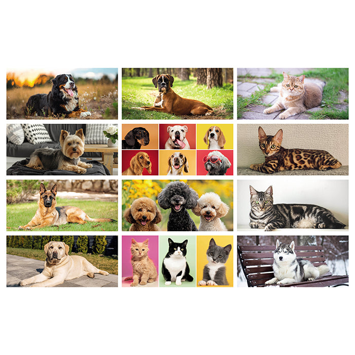 CANI E GATTI personalizzato con logo - Pubblienne