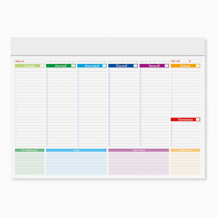 PLANNING MULTICOLOR personalizzato con logo - Pubblienne