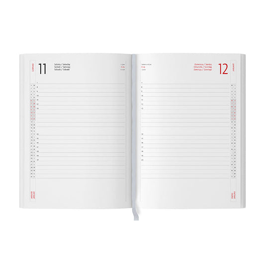 INTERNO GIORNALIERO personalizzato con logo - Pubblienne