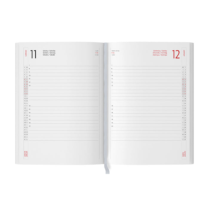 INTERNO GIORNALIERO personalizzato con logo - Pubblienne