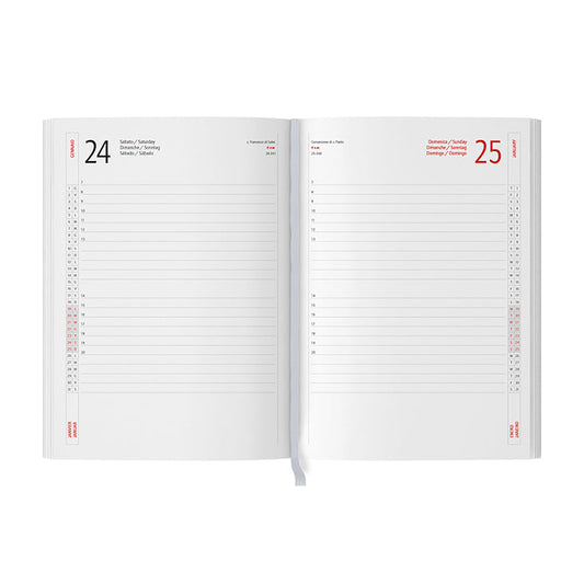 INTERNO GIORNALIERO personalizzato con logo - Pubblienne