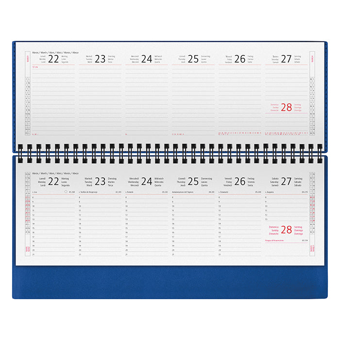PLANNING TERMOVIRANTE personalizzato con logo - Pubblienne
