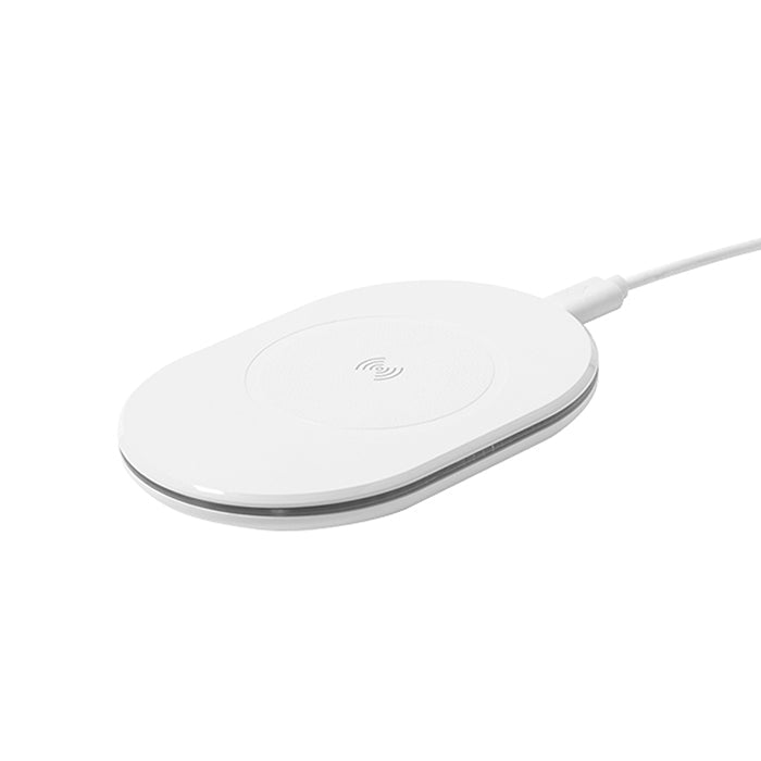 RABS CHARGE personalizzato con logo - Pubblienne