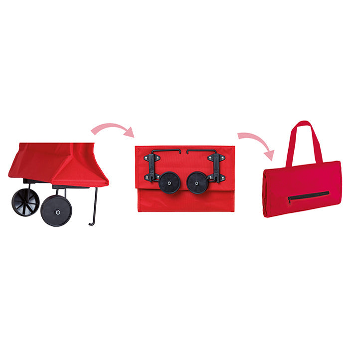 CARRY personalizzato con logo - Pubblienne