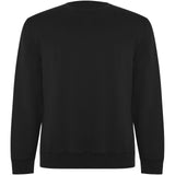 Maglione unisex a girocollo in cotone biologico Batian personalizzato con logo - Pubblienne