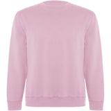 Maglione unisex a girocollo in cotone biologico Batian personalizzato con logo - Pubblienne