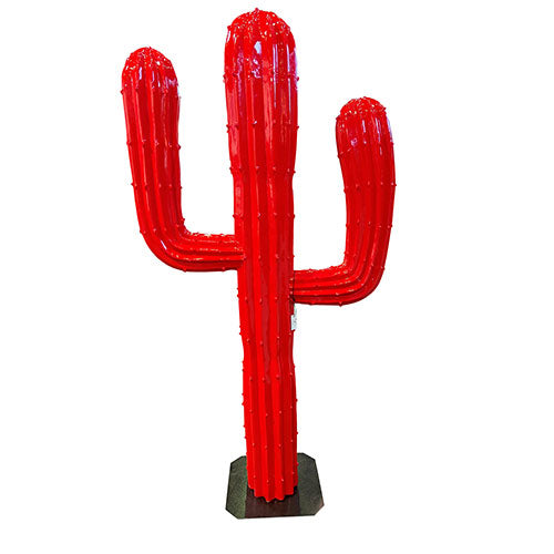A137 Cactus-Oggetto Decorativo personalizzato con logo - Pubblienne