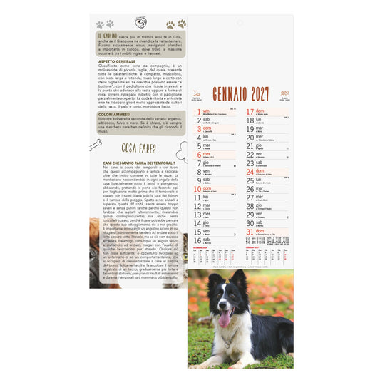CALENDARIO CANI E GATTI personalizzato con logo - Pubblienne