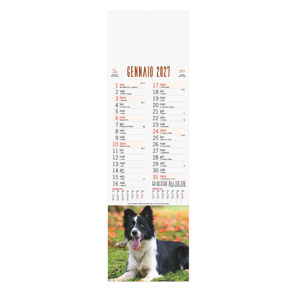 CALENDARIO CANI E GATTI personalizzato con logo - Pubblienne