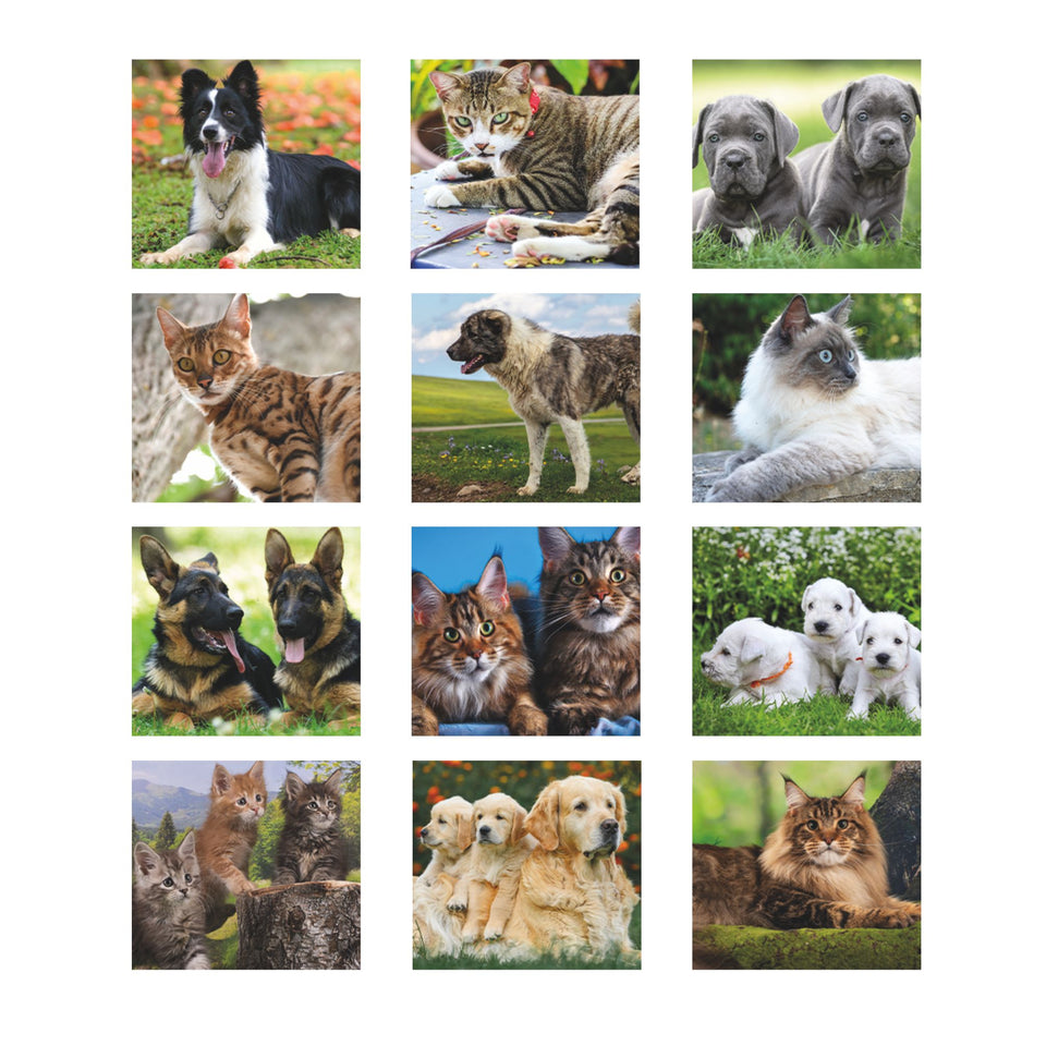 CALENDARIO CANI E GATTI personalizzato con logo - Pubblienne